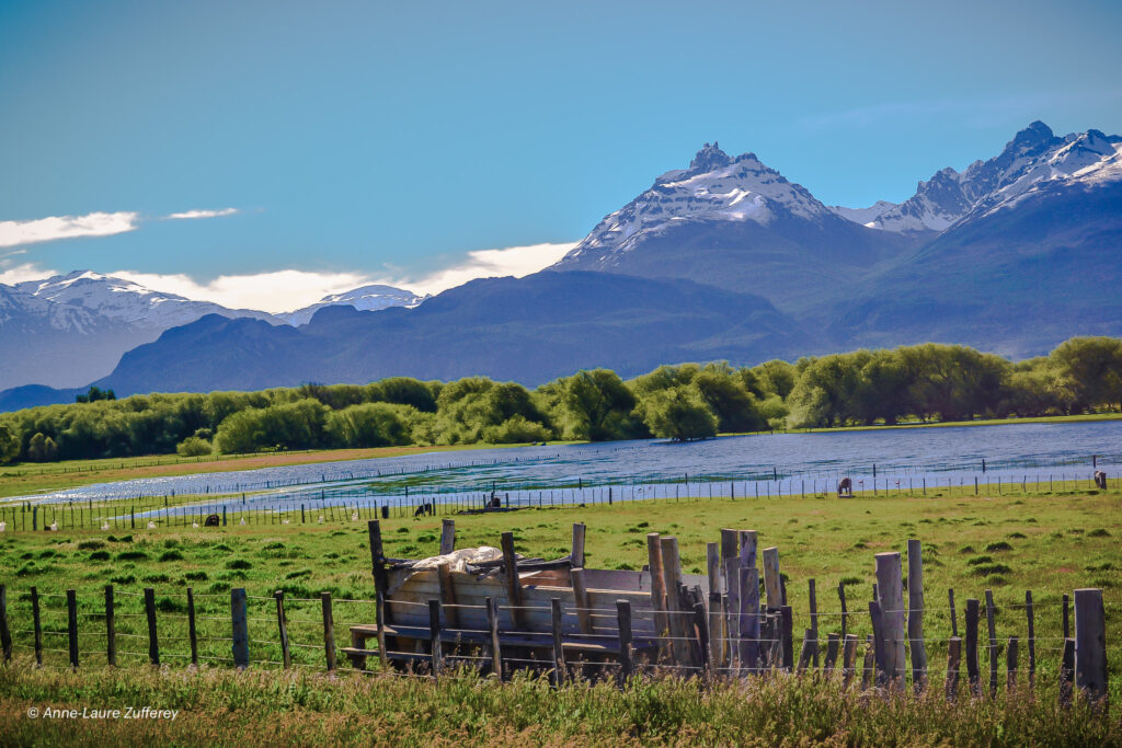 Road trip découverte Patagonie